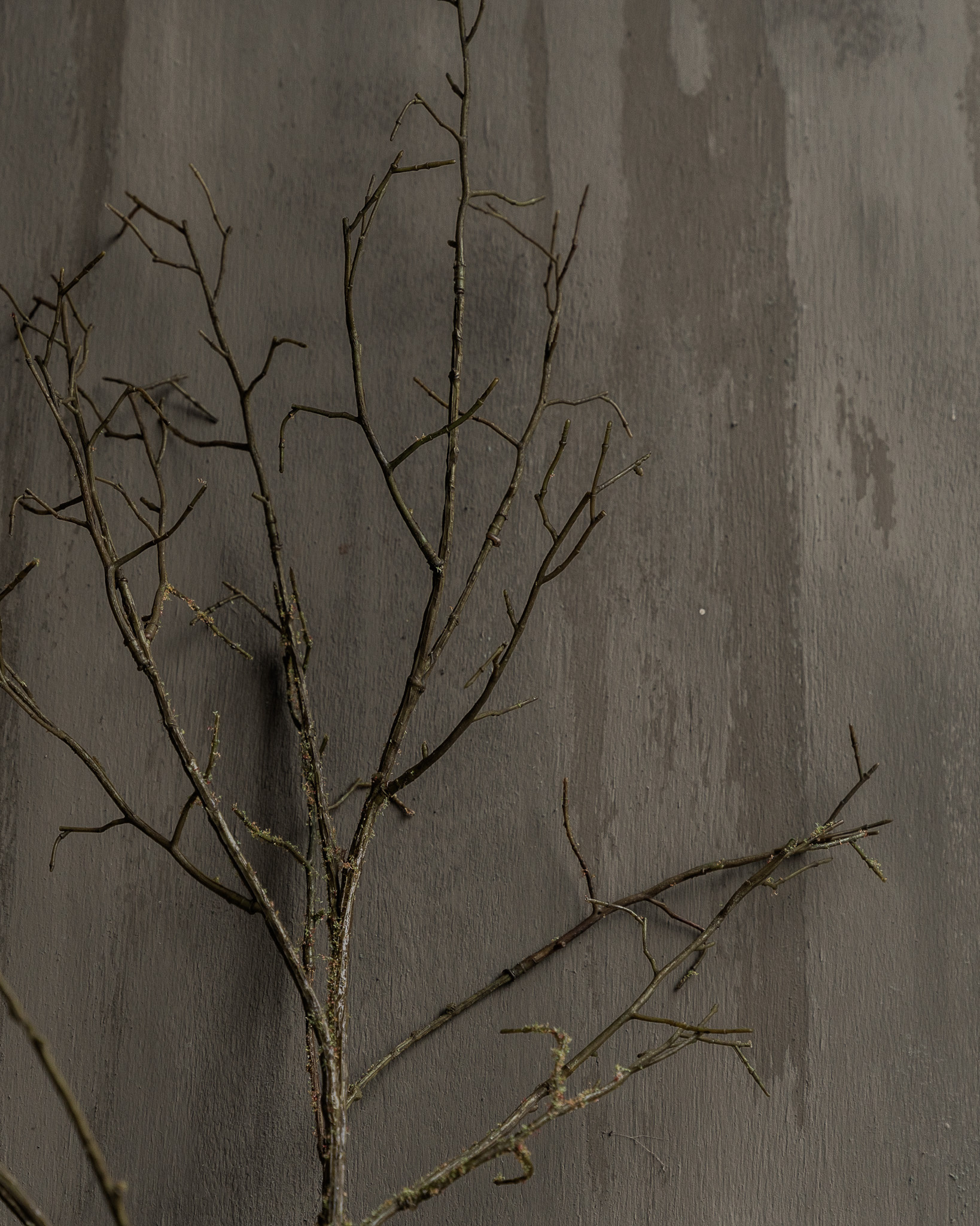 HOUTTAK Bruin/Groen – Silk-ka – 107 of 134 cm-8