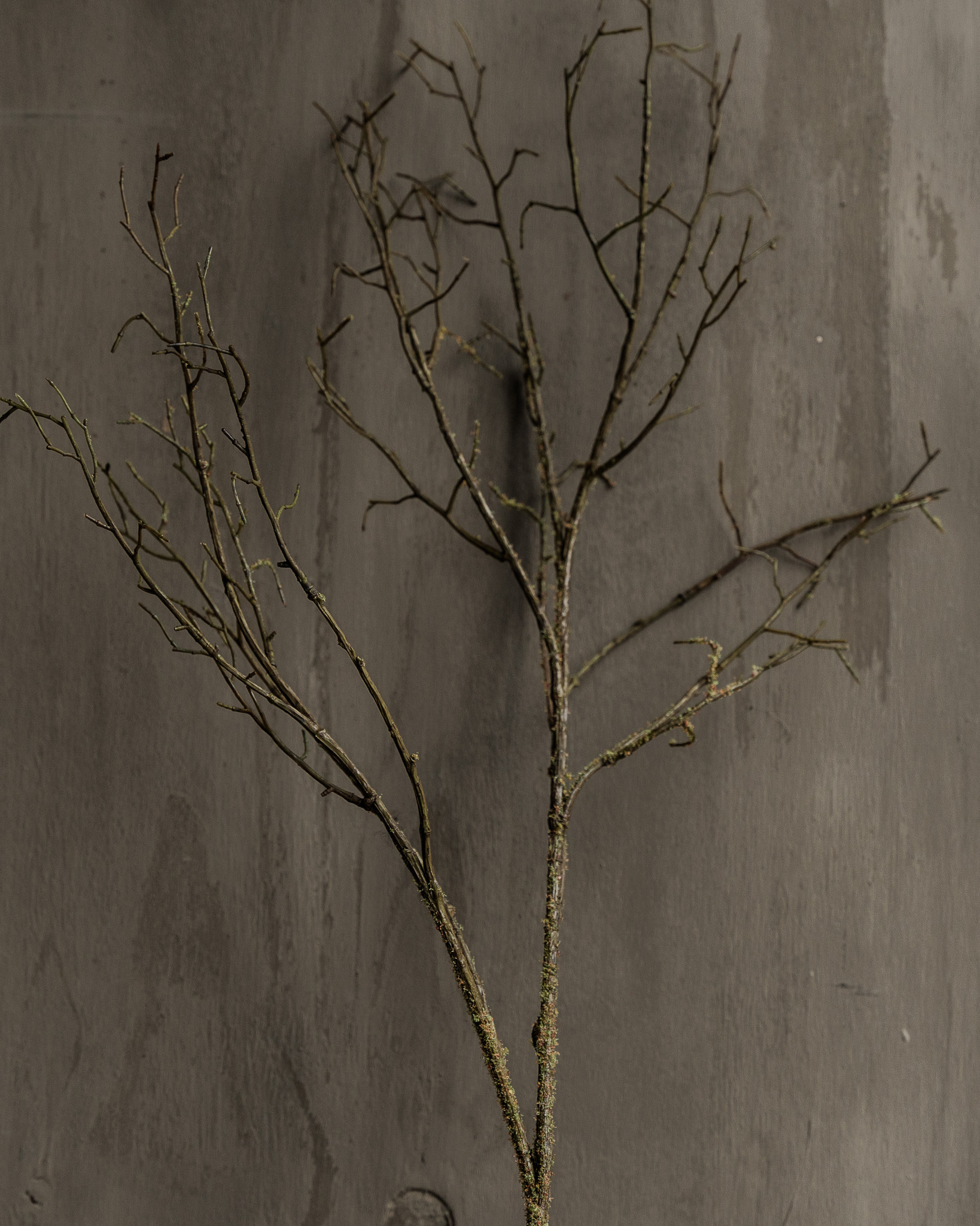 HOUTTAK Bruin/Groen – Silk-ka – 107 of 134 cm-9