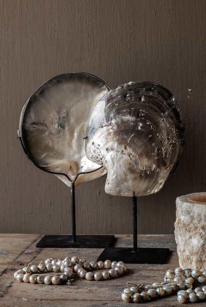 Large Oyster Shell on Stand – Unique Nature Decoration