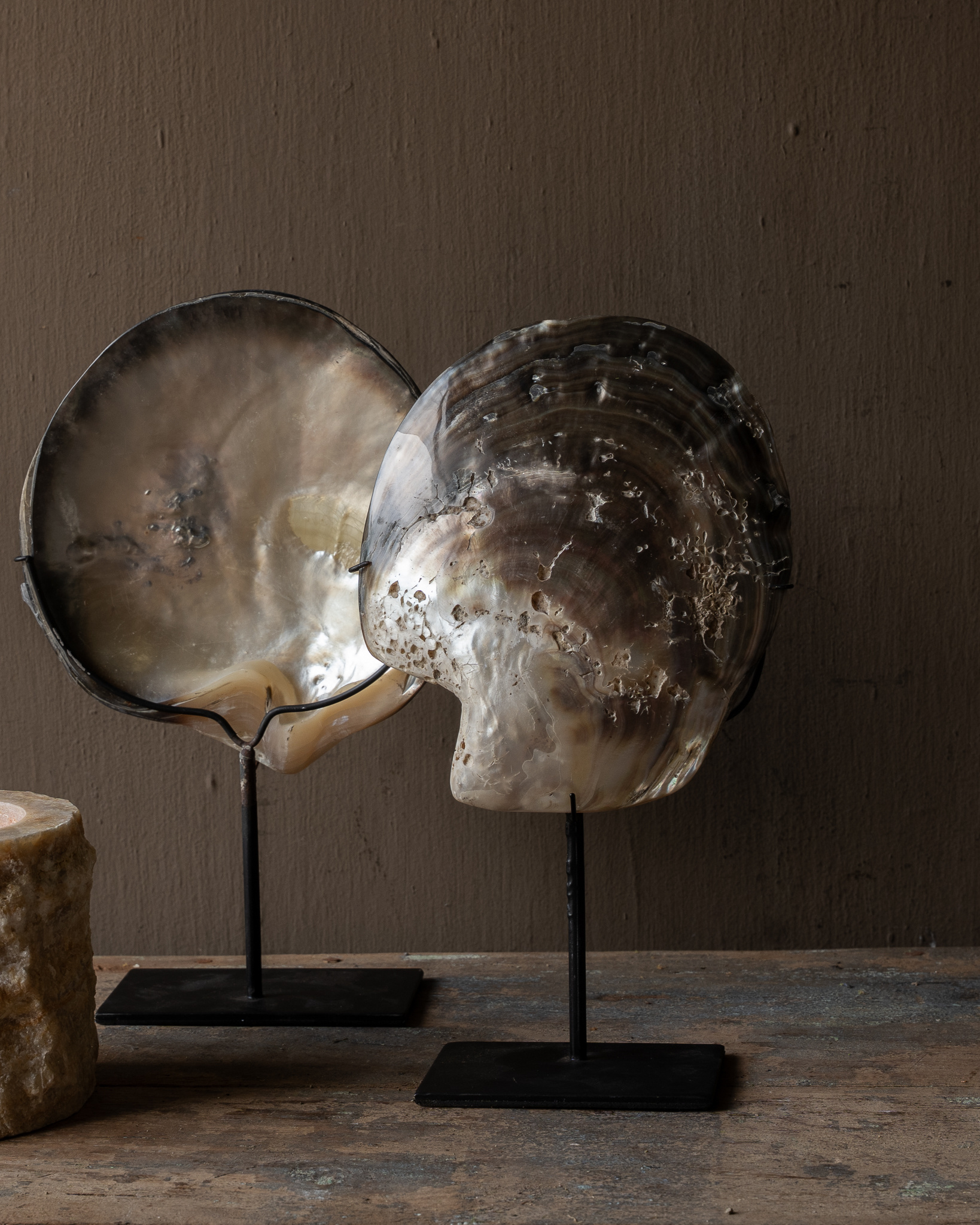 Grote Oesterschelp op Standaard – Uniek Natuurdecoratie-6