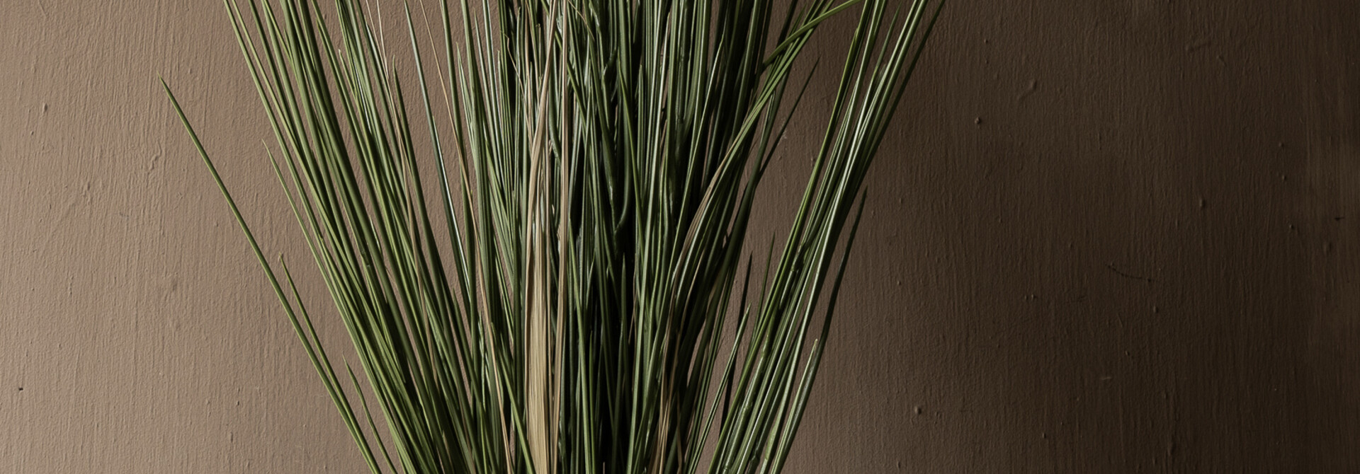 Grass plant "De Luxe" UV