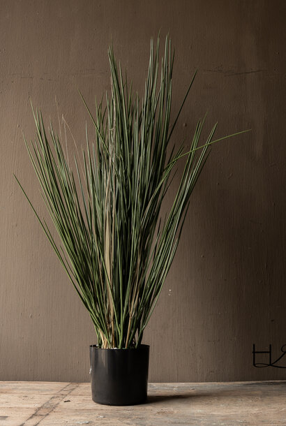 Grass plant "De Luxe" UV