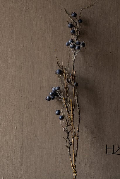 Kunst Bessentak Blauwgrijs – 70 cm