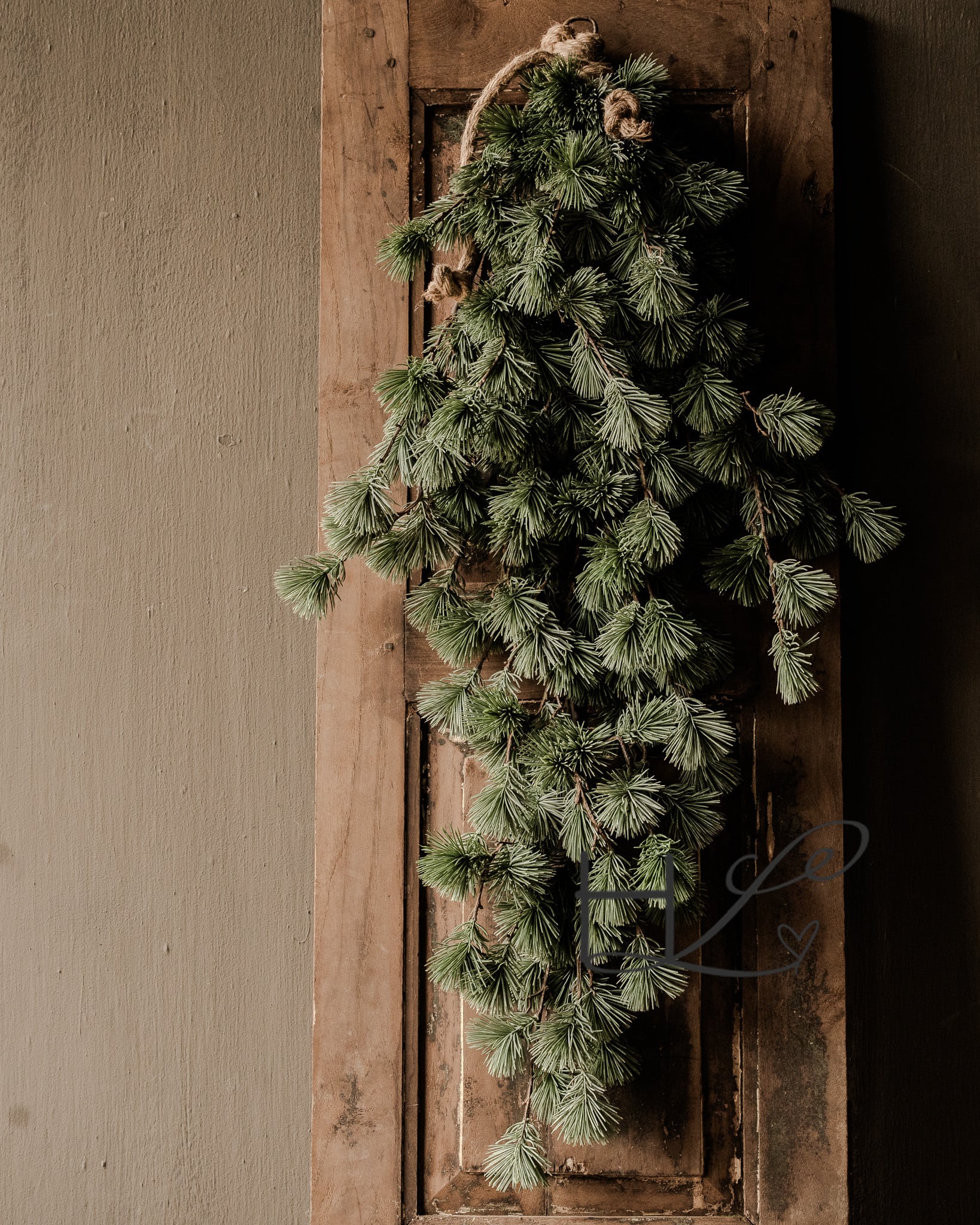 Larix Toef XXL-2