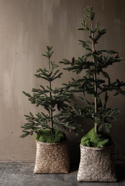 Art Nobilis Christmas Tree