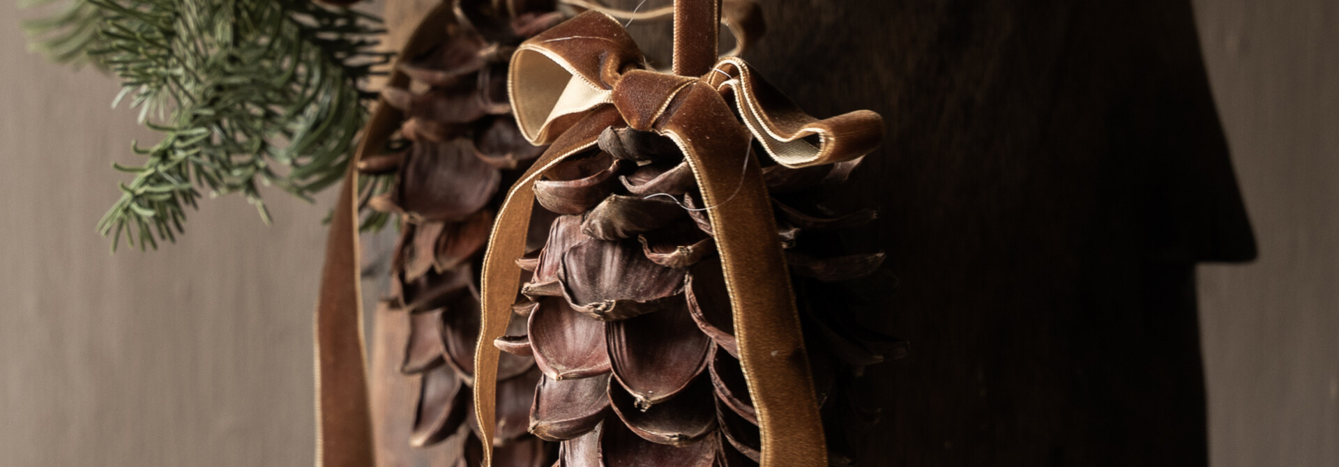 Decorative pine cone with brown velvet ribbon