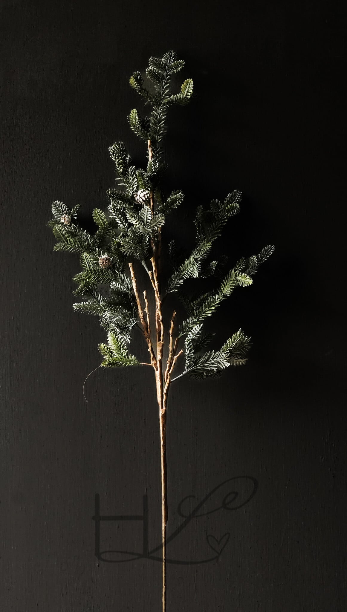 Artificial silver fir Christmas branch with pine cones-4