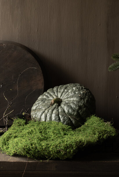 Moss mat round GREEN