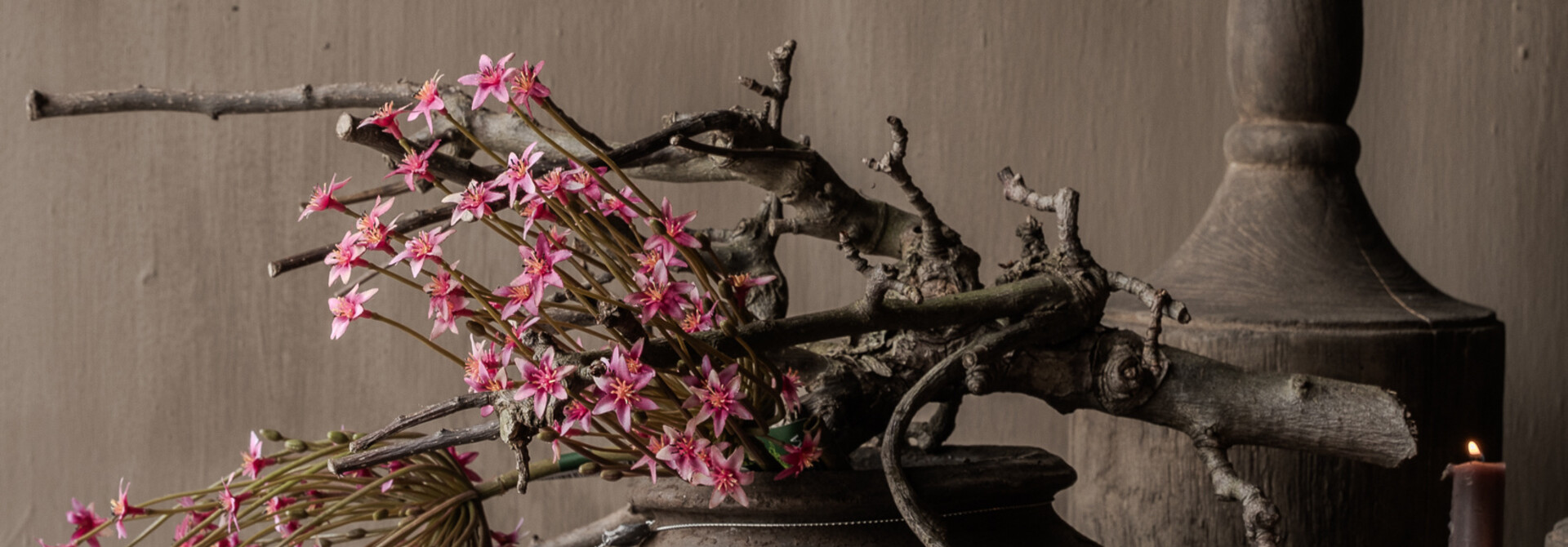 ALLIUM STEEL BEAUTY 87 cm
