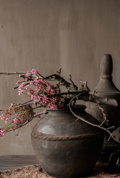 ALLIUM STEEL BEAUTY 87 cm