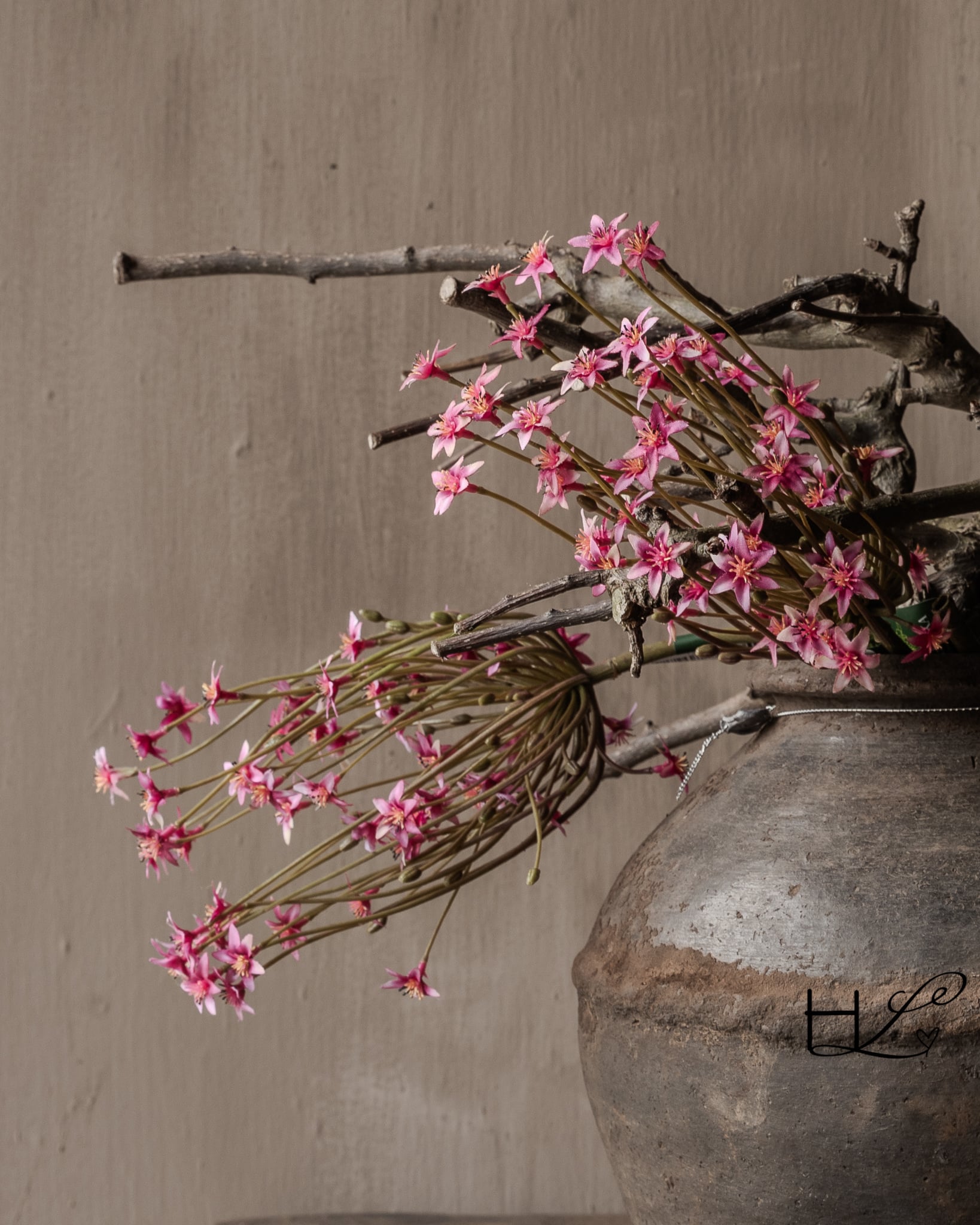 ALLIUM STEEL BEAUTY 87 cm-2