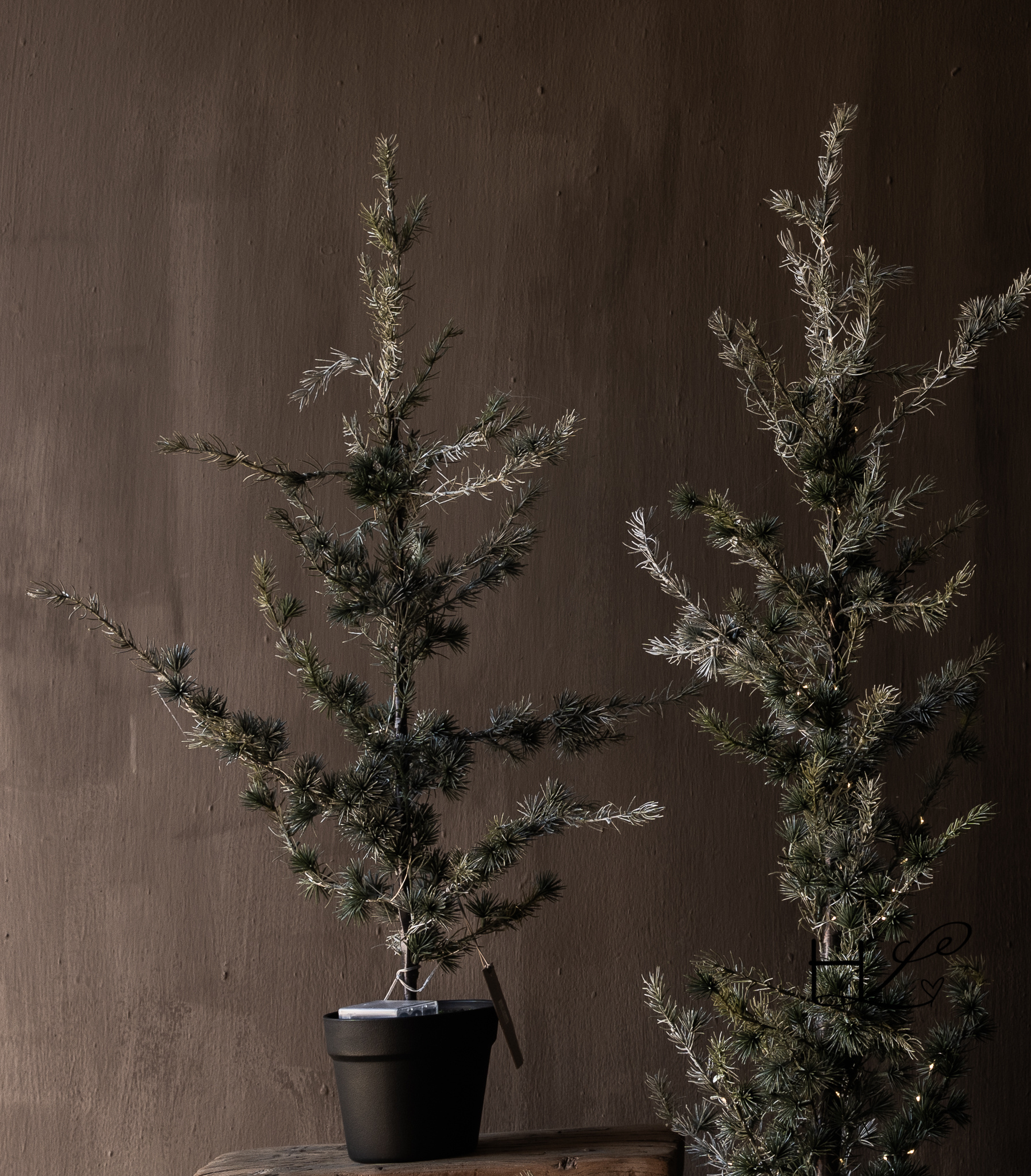 Ceder Boompje led 95 of 150 cm-2