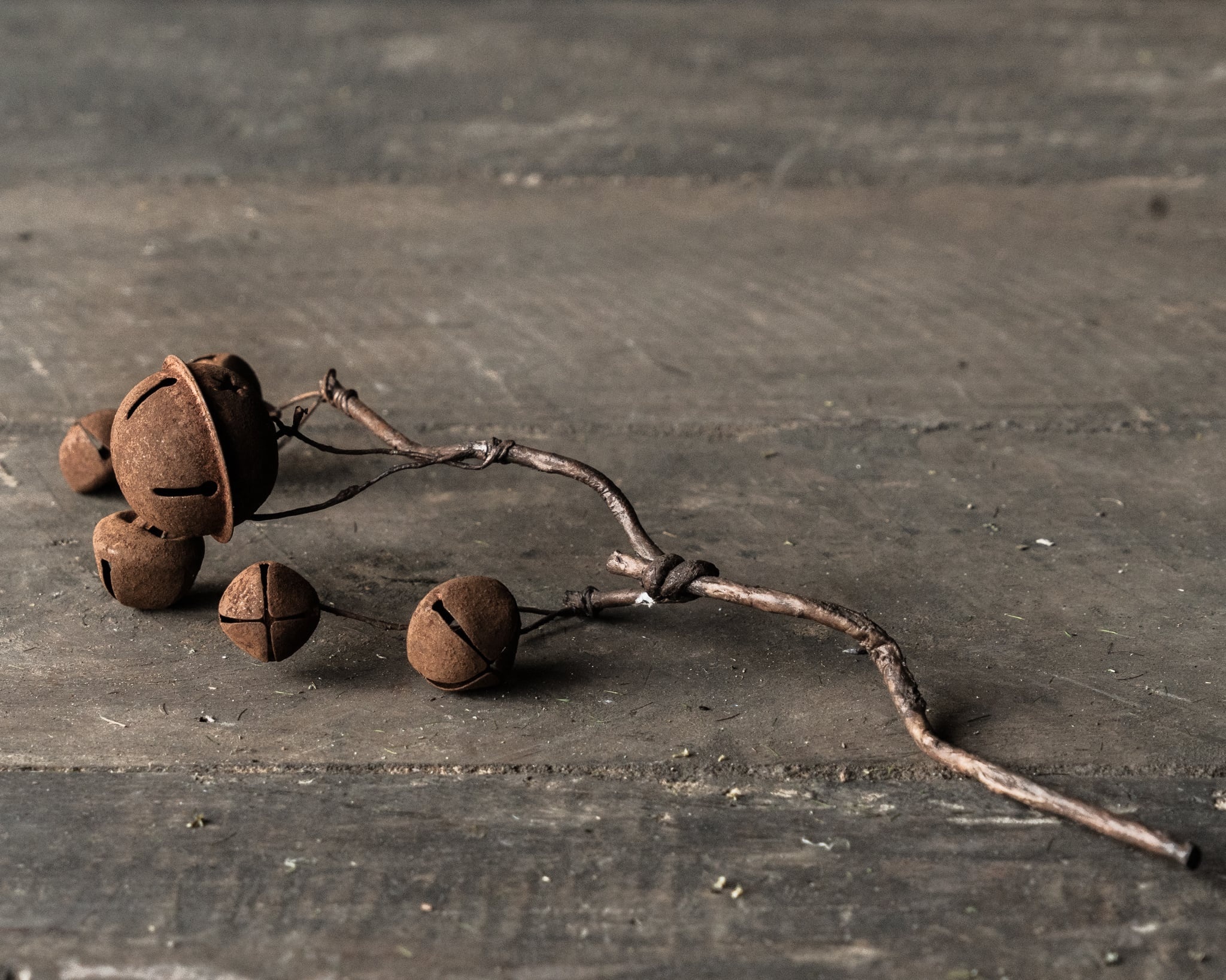 Branch with rusty bells-3