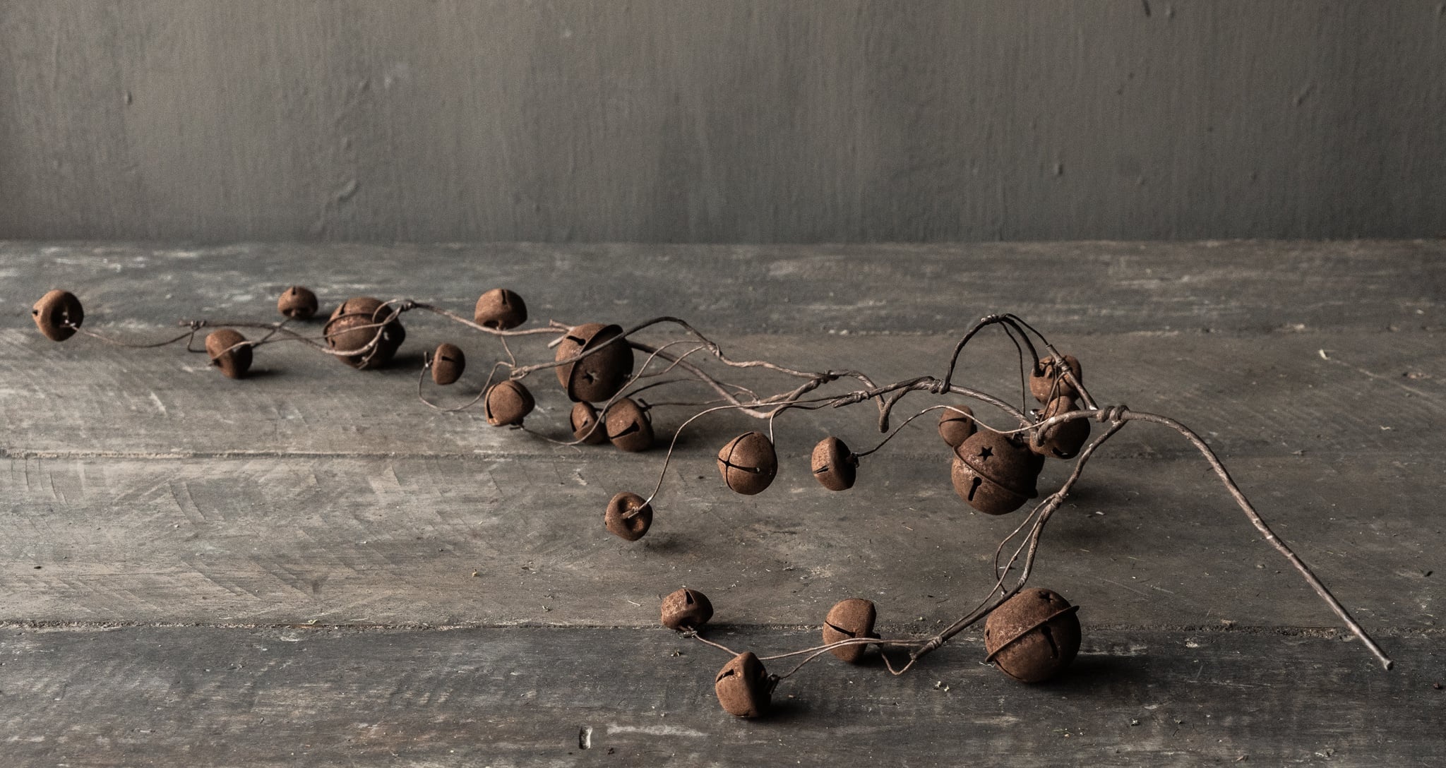 Branch with rusty bells-7