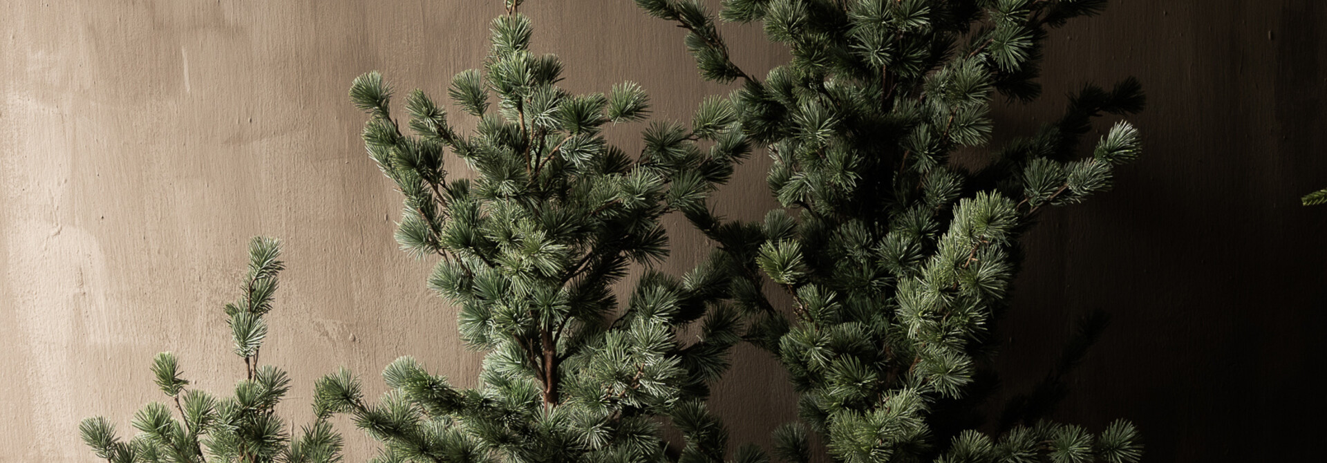 Larix boom Real Touch