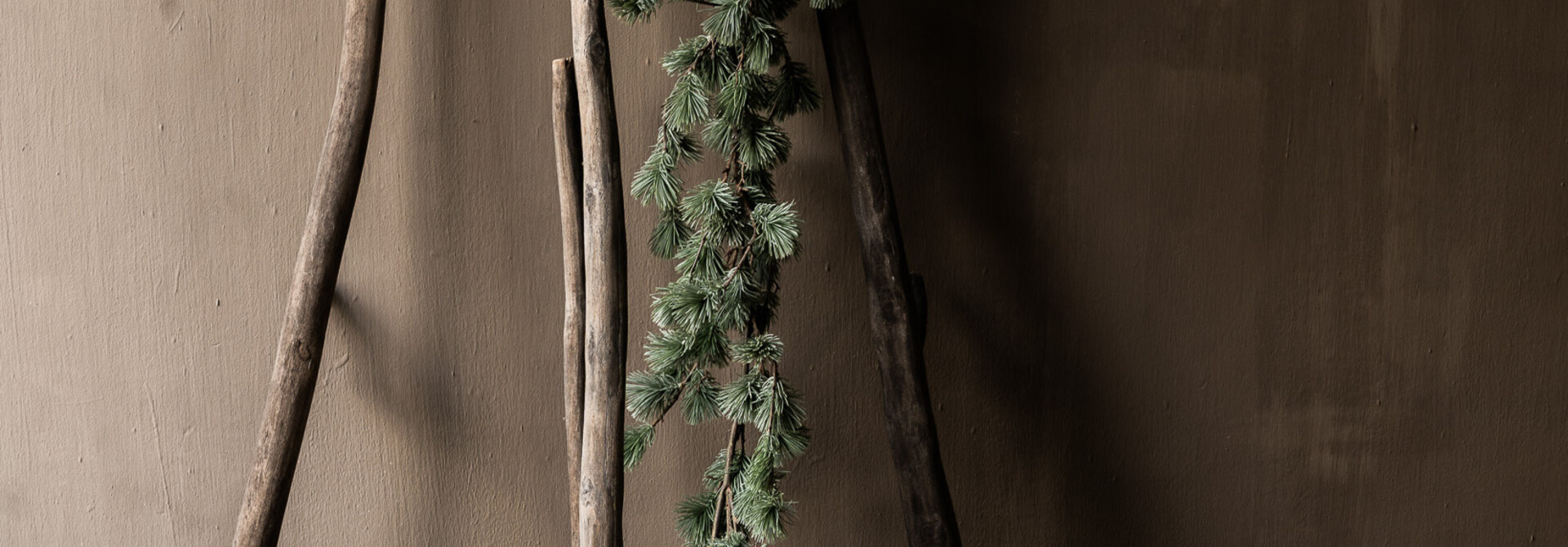 Larix guirlande