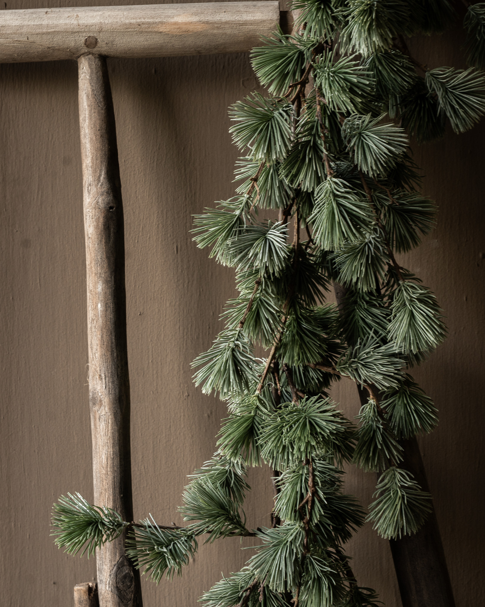 Larix guirlande-3