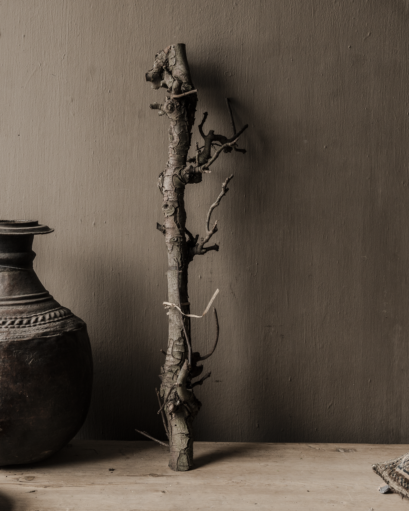 Natural Pear Branch – Decorative Branch-6