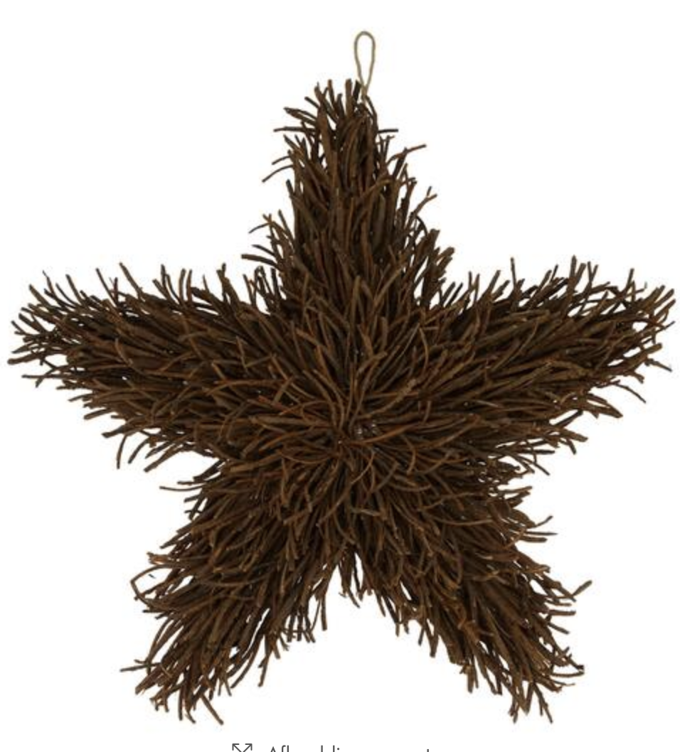 Rotan Sterren met Hanger-1