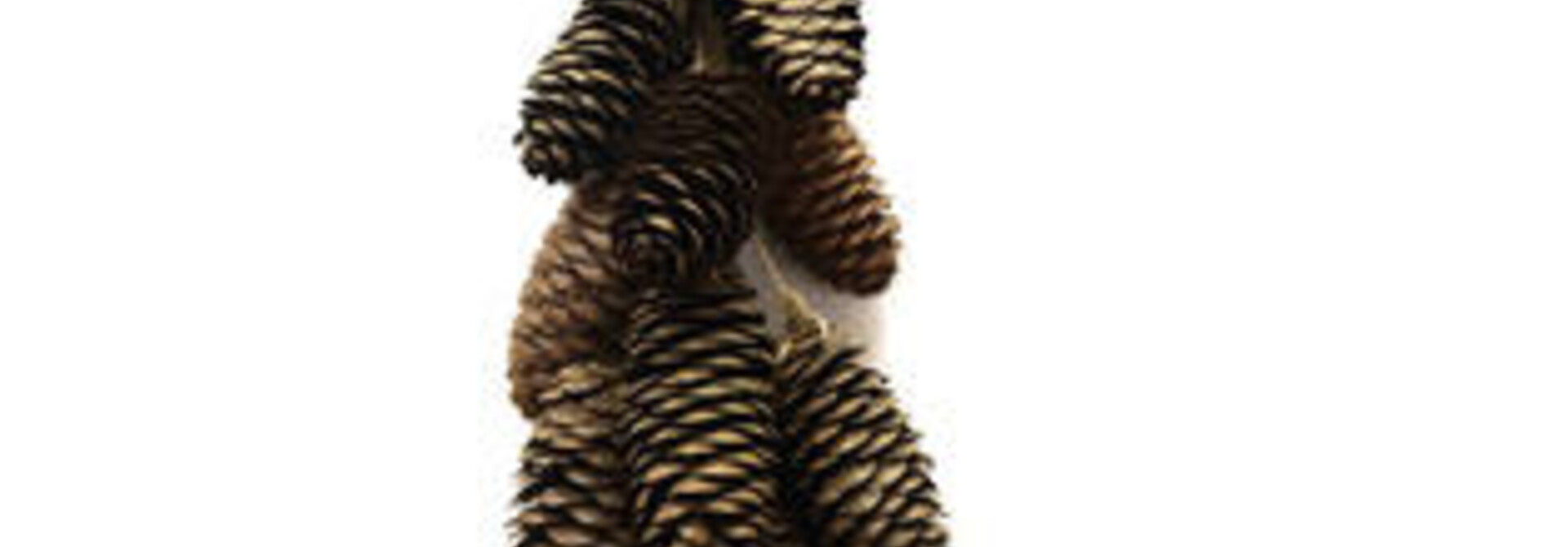 Rai Cone Hanger Naturel