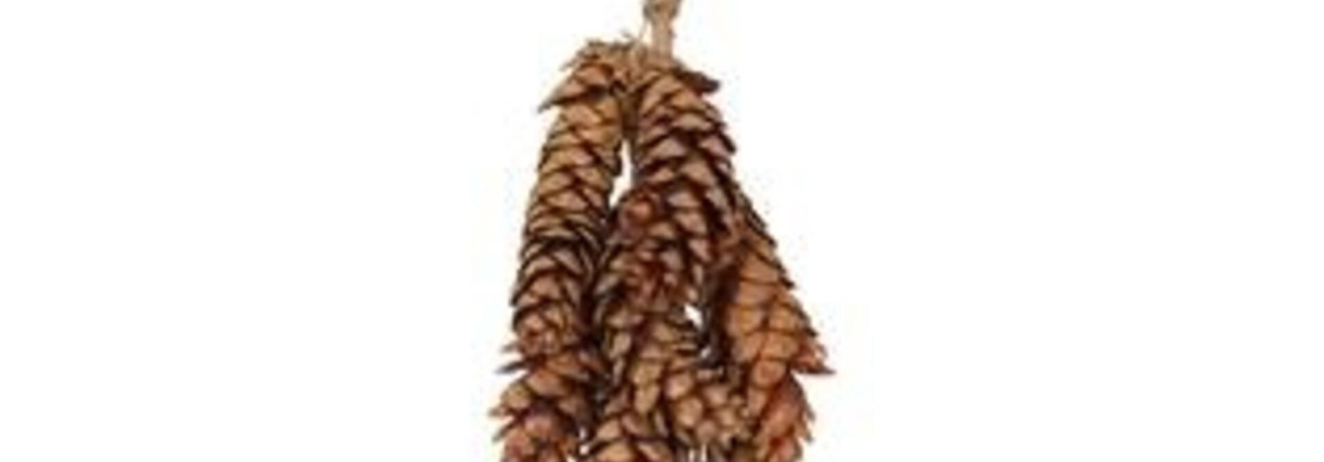 Strobus denneappel hanger Naturel