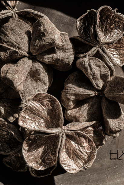 Landlotus Naturel Gold-Wash