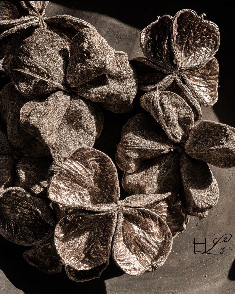 Landlotus Naturel Gold-Wash-1