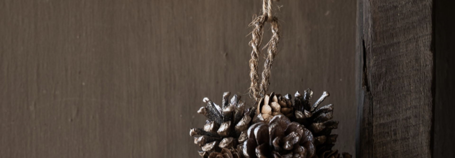 Dennenappel Hangers Goud/Zilver