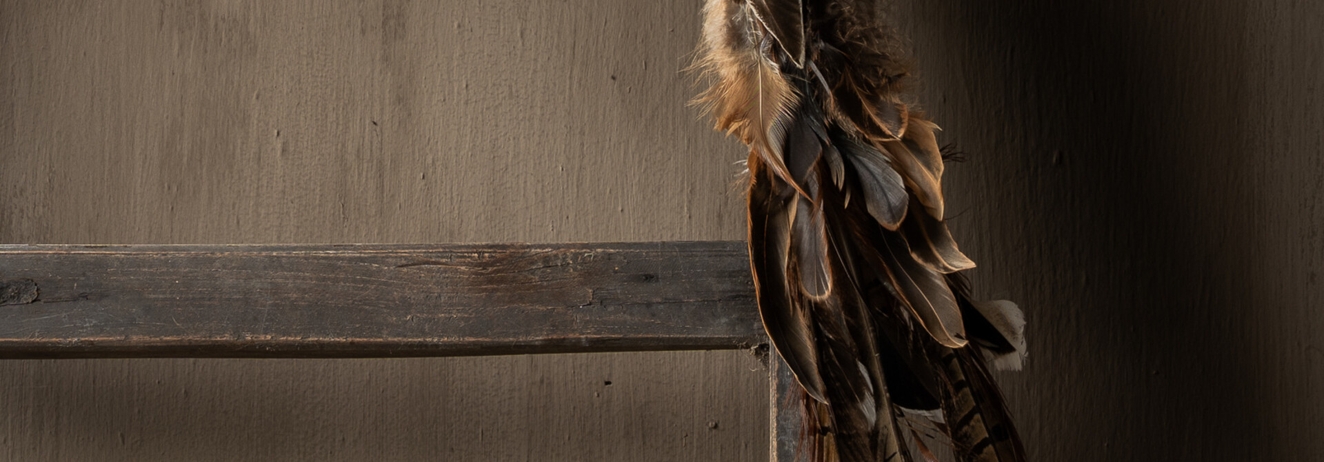 Decorative bird with feathers and brown tail 54 cm