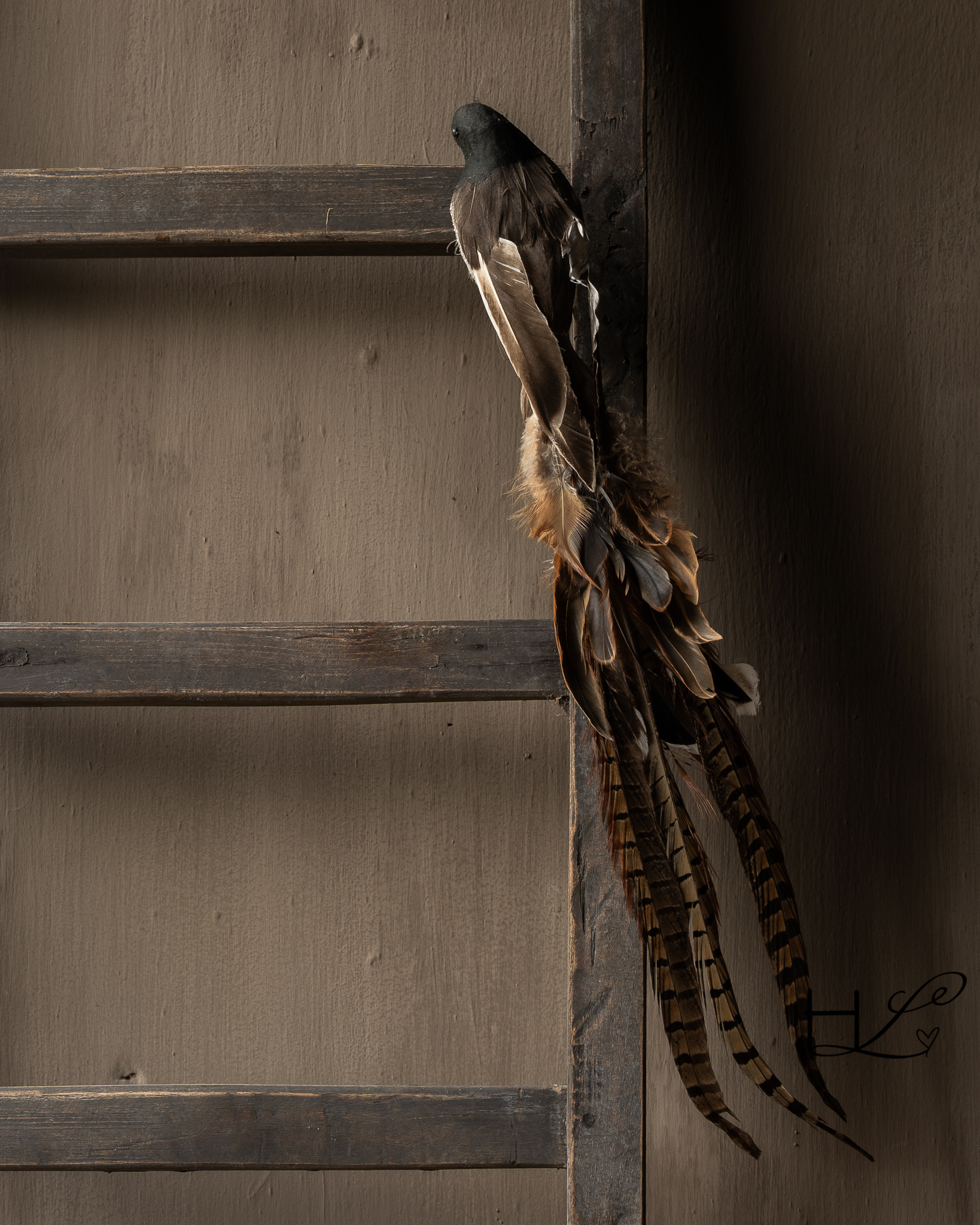 Decorative bird with feathers and brown tail 54 cm-1