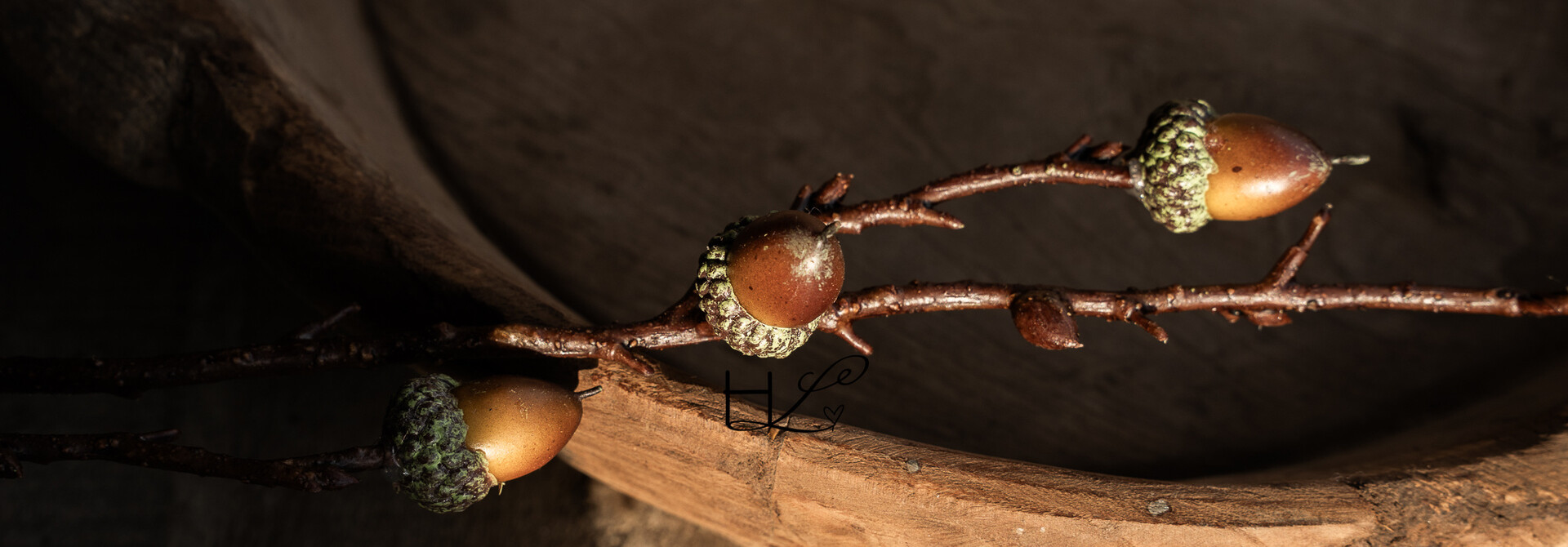 Brown oak branch – 149 cm