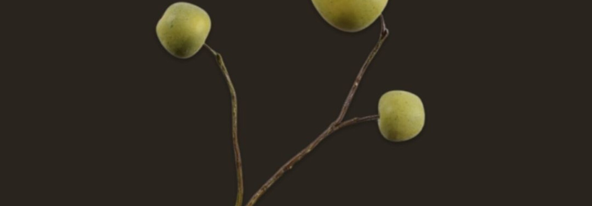 Green apple branch – 87 cm