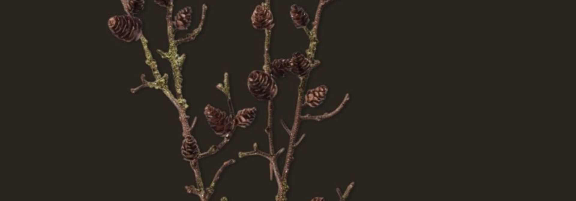 Brown pine branch – 99 cm