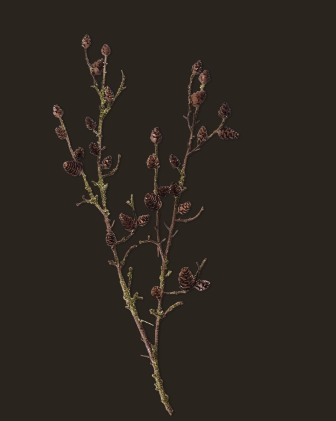Brown pine branch – 99 cm-1