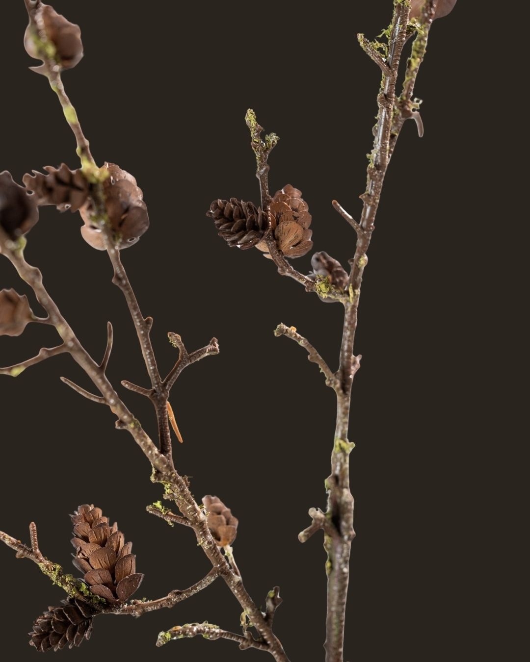 Brown pine branch – 99 cm-2