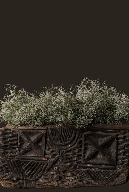 Silk-Ka ASPARAGUS BUSH GRN/WHITE 38 cm