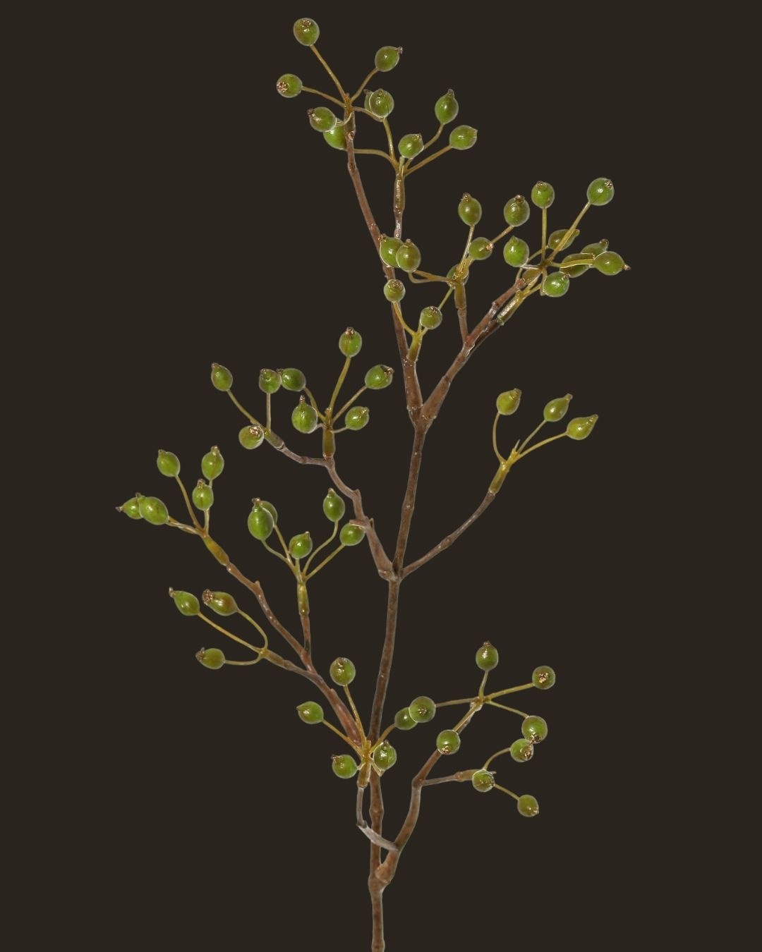 Mini green rosehip branch – 62 cm-2
