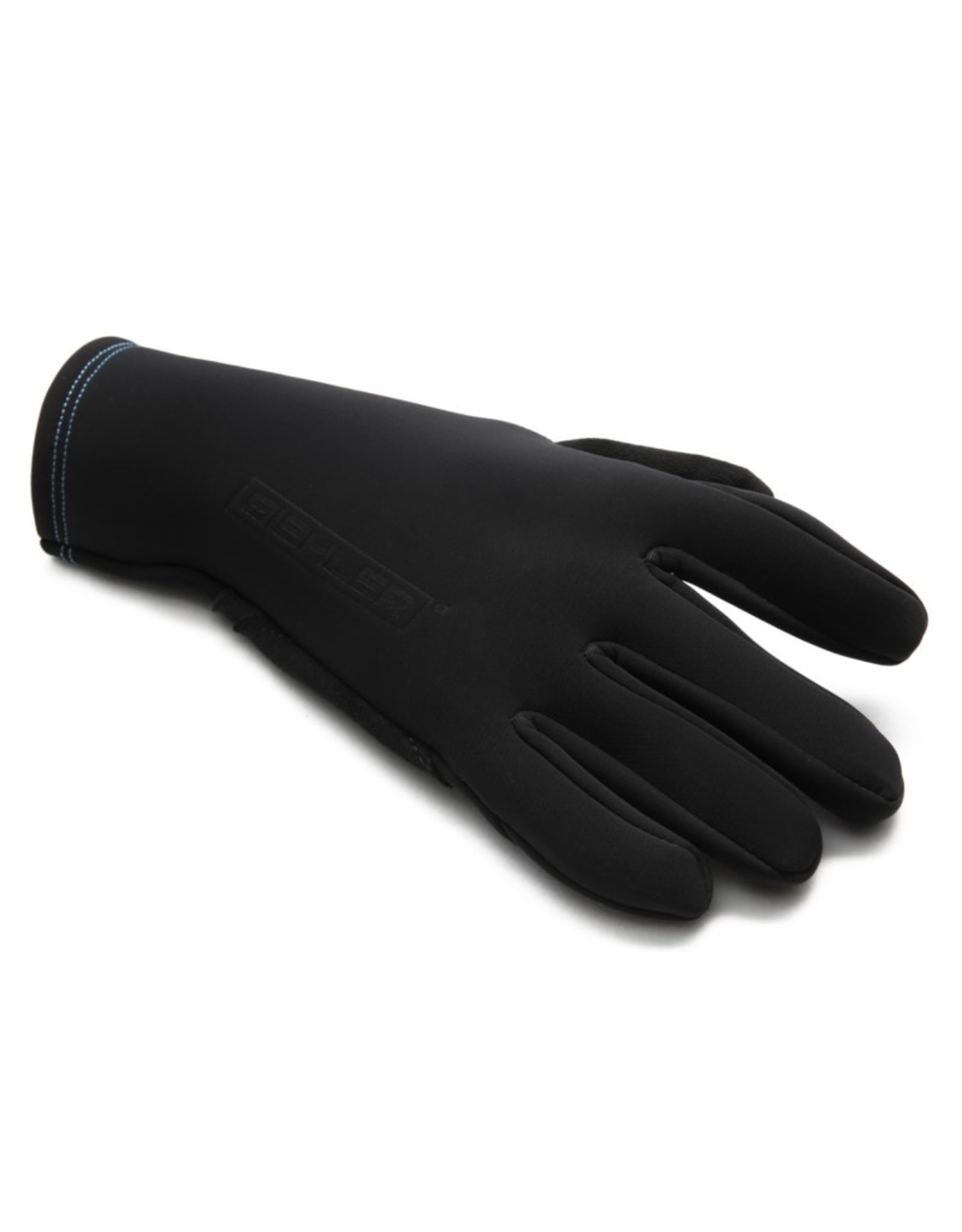 Biehler Winter Gloves