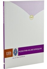 Pezdevi'nin Kelami Görüşleri