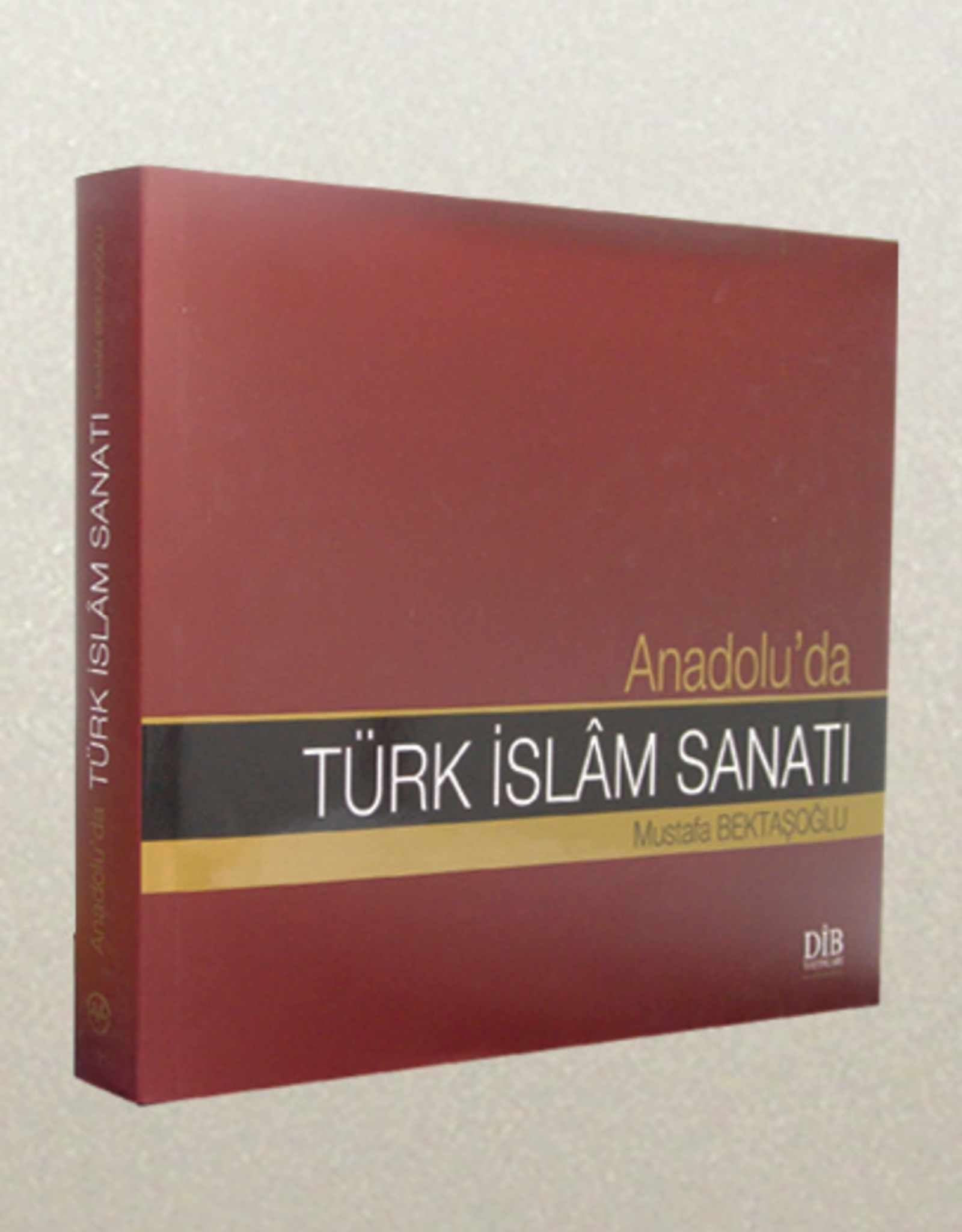 Anadolu'da Türk Islam Sanatı