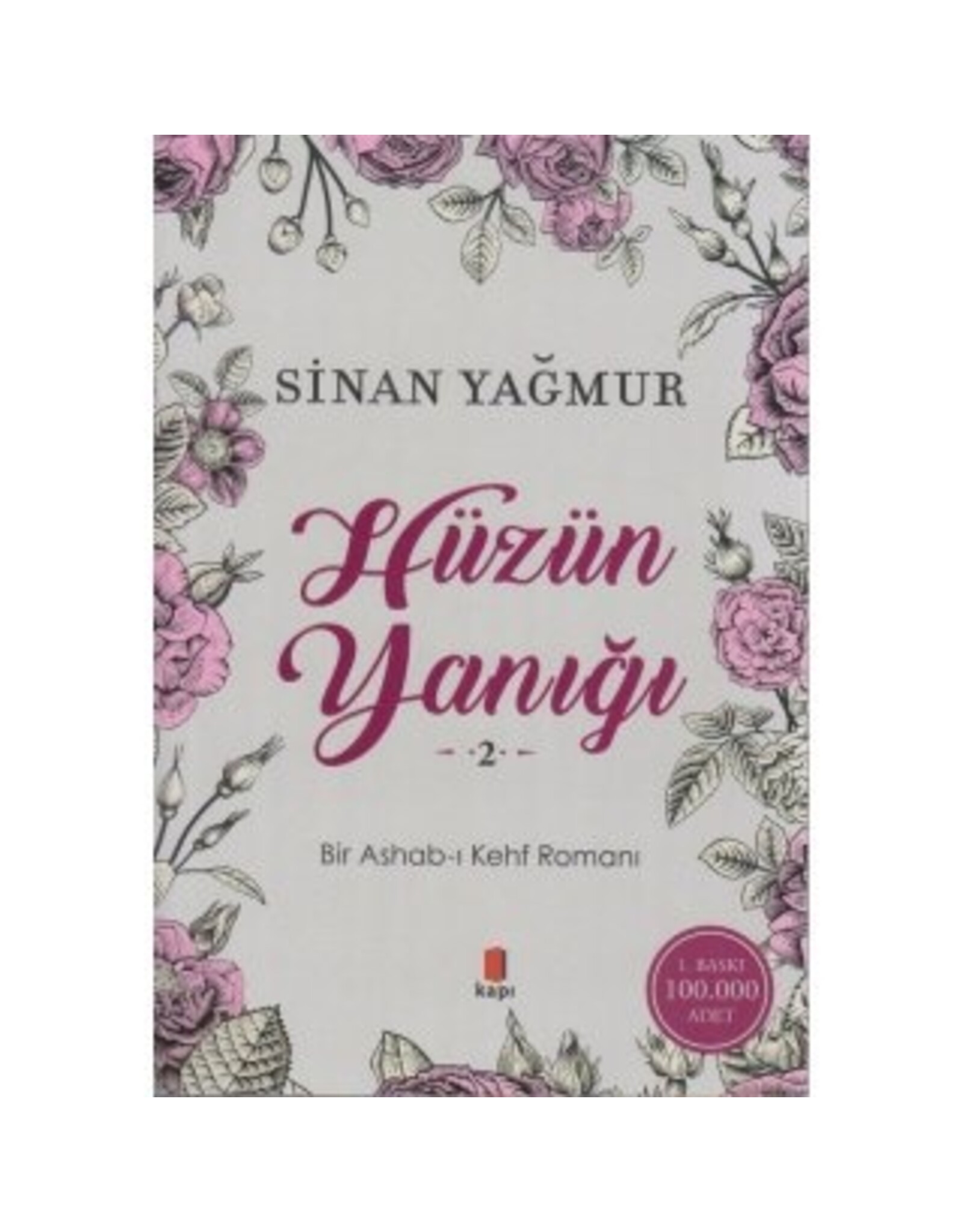 Hüzün Yanağı 2