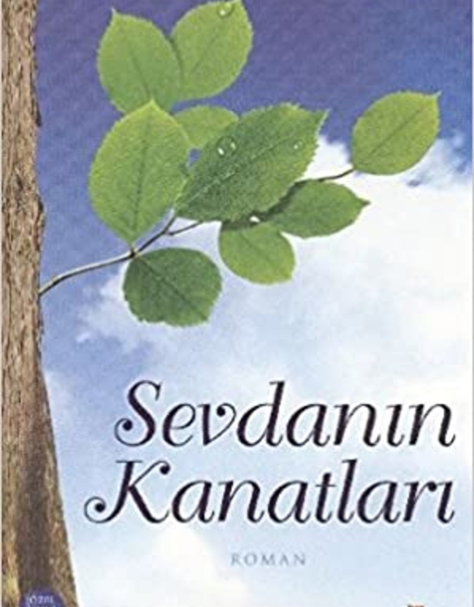 Sevdanın Kanatları