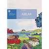 Şifa Çiçeği -1 Arılar