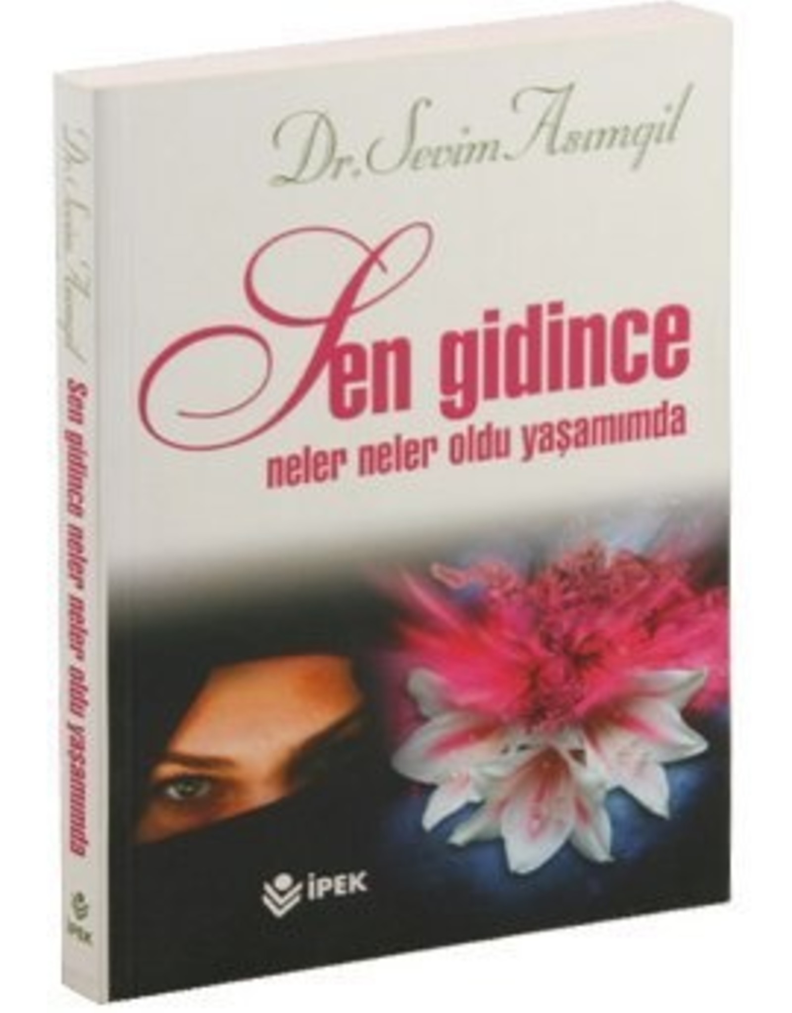 Sen Gidince Neler Oldu Yaşamımda