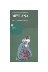 Sevginin Evrensel Mühendisi Mevlana