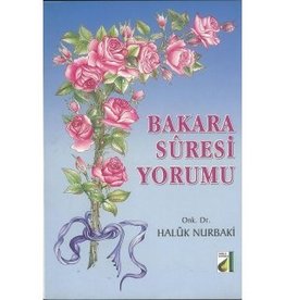 Bakara Suresi Yorumu