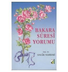 Bakara Suresi Yorumu