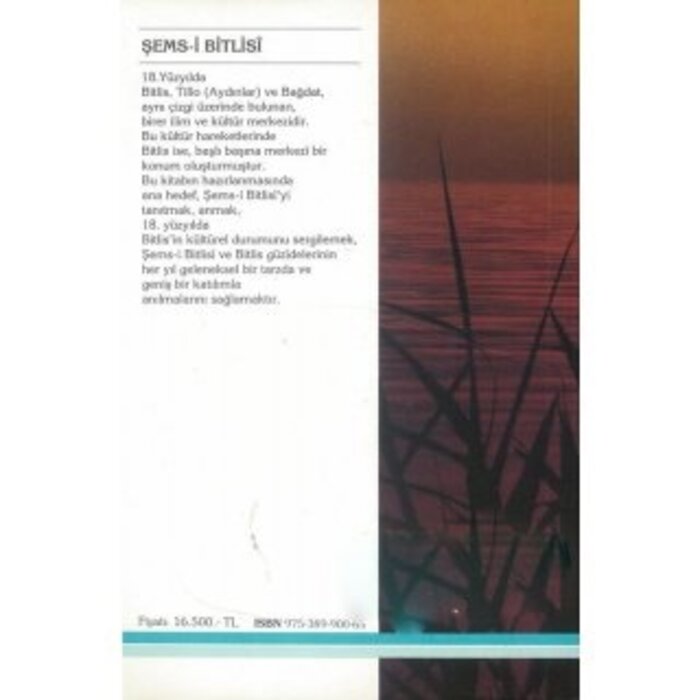 Şems-i Bitlisi