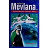 Hepimiz Mevlana'yız