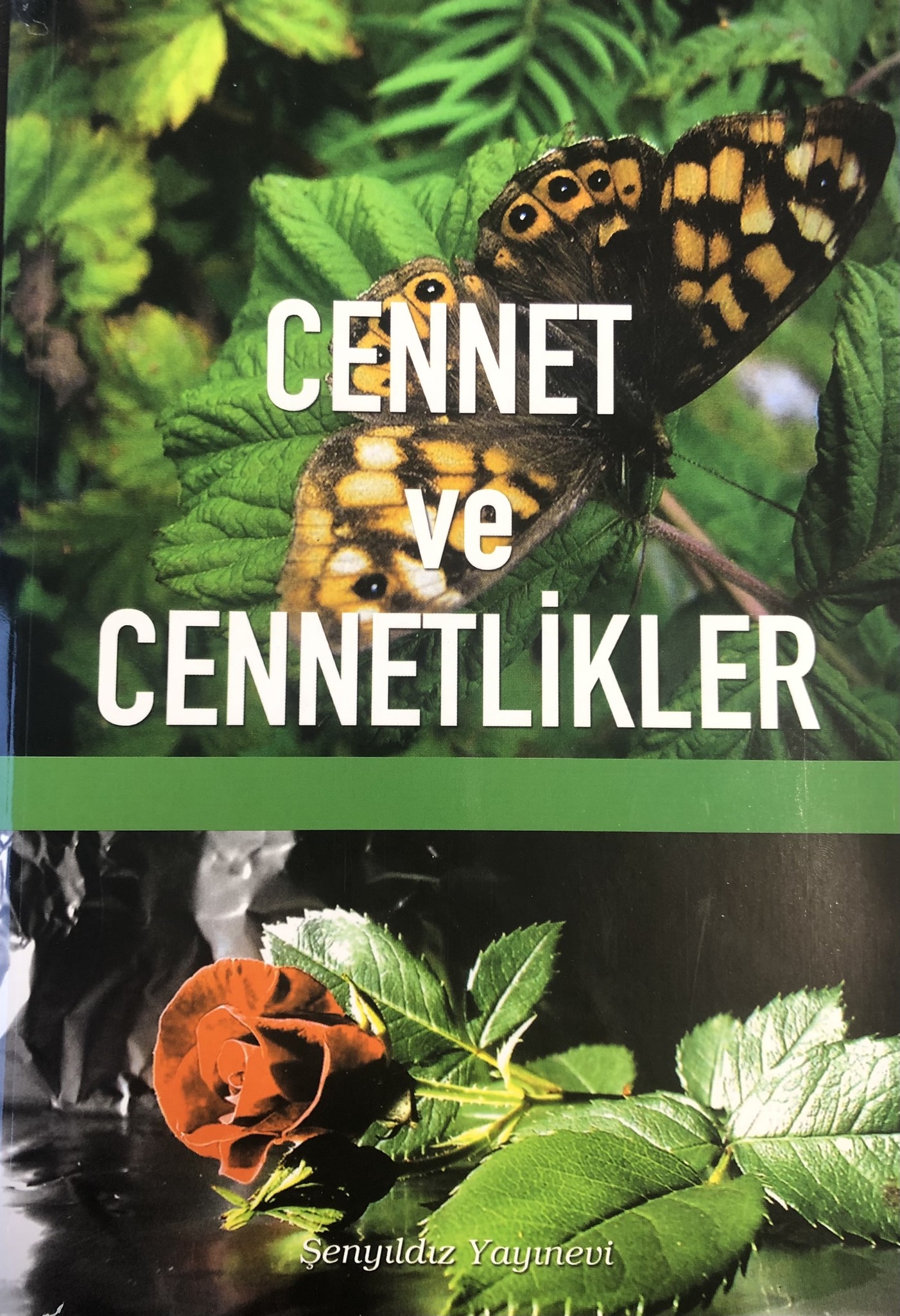 Cennet ve Cennetlikler